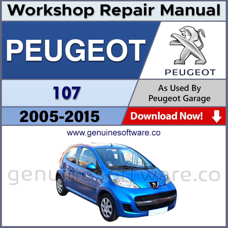 Peugeot 107 Automotive Workshop Repair Manual - Peugeot 107 Repair Software & Wiring Diagrams